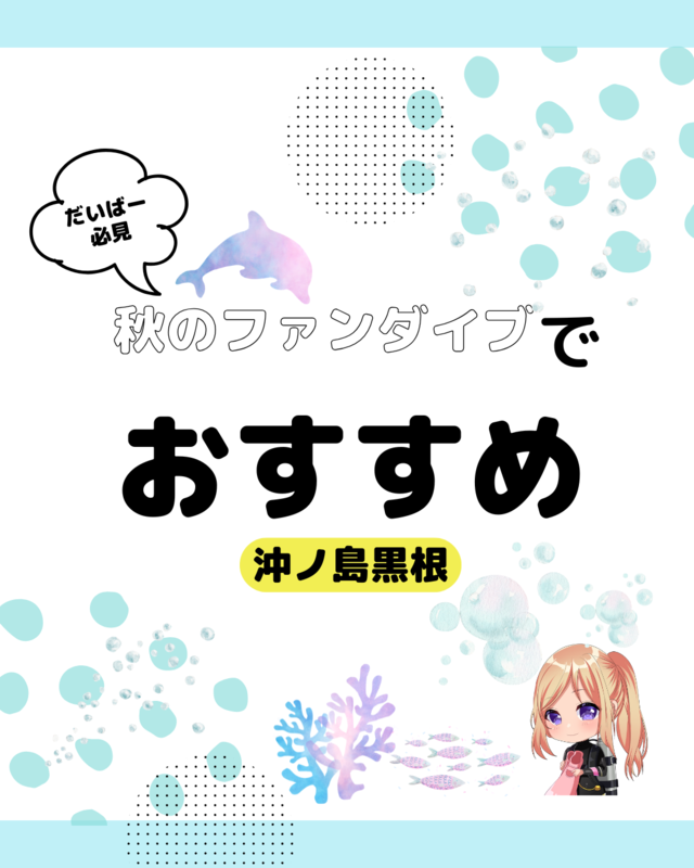 千葉県館山市の沖ノ島黒根ポイントで秋ダイビング体験｜透明度抜群の海でアカオビハナダイやミツボシクロスズメダイに出会う