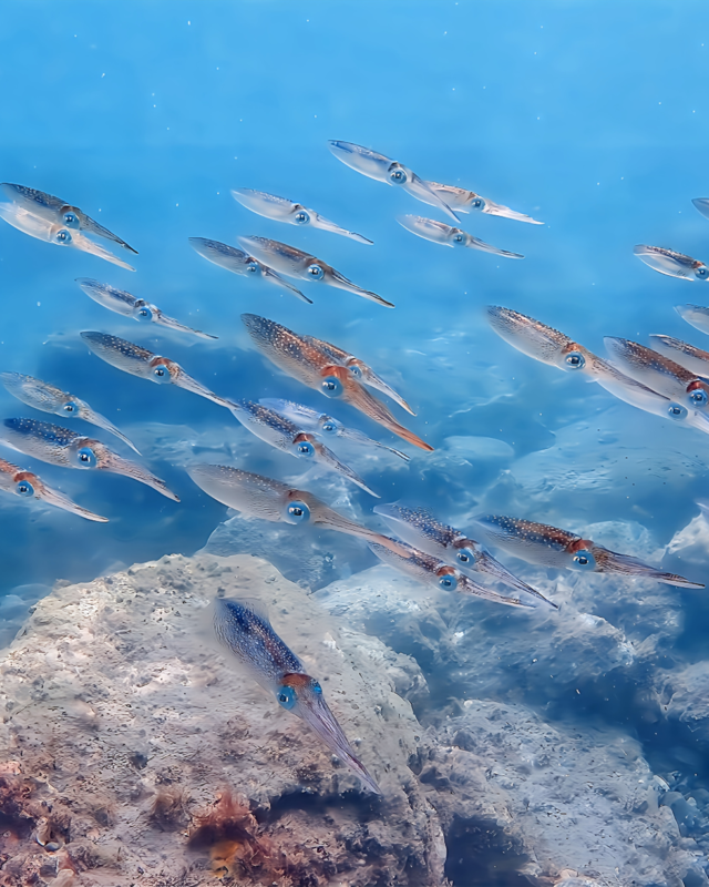 沖ノ島ビーチ｜千葉では貴重な砂浜エントリー