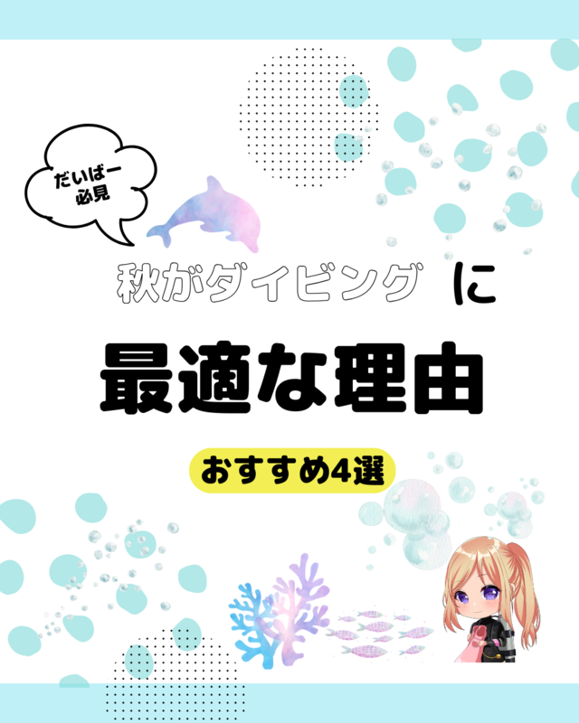 秋がファンダイビングに最適な理由を徹底解説｜千葉県館山市の沖ノ島で体験する秋のダイビングの魅力