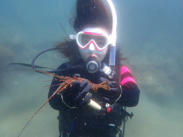沖ノ島ビーチで体験ダイビング｜千葉県館山市の沖ノ島ダイビングサービスマリンスノー