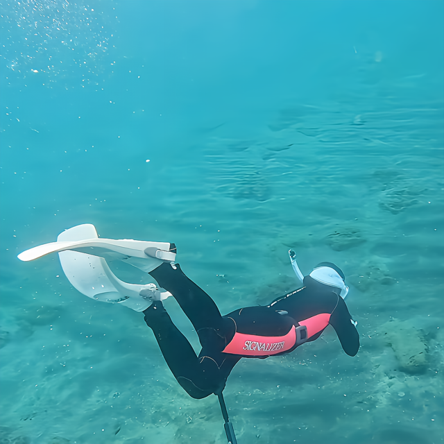 スキンダイビング完全ガイド｜初心者でも安全に楽しむ沖ノ島スキンダイビング｜マリンスノー