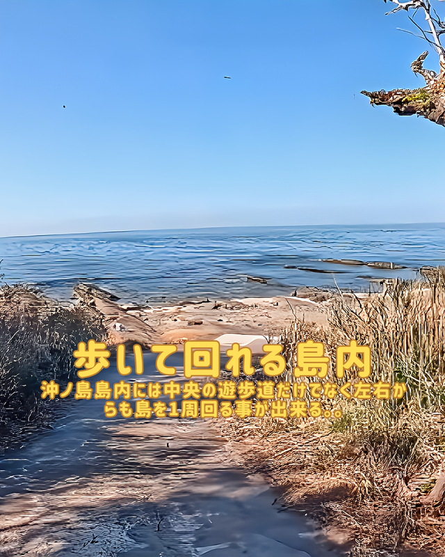 千葉県館山市の陸続きの無人島「沖ノ島」が観光で人気な理由①