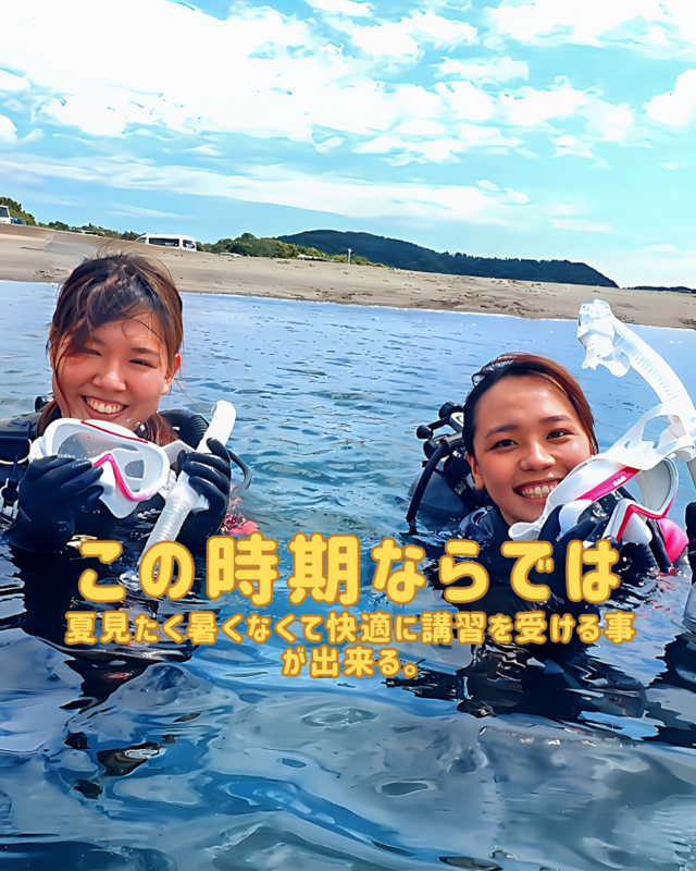 秋はダイビングライセンス取得に最適！千葉県館山市沖ノ島で始める初心者向け講習とおすすめ理由