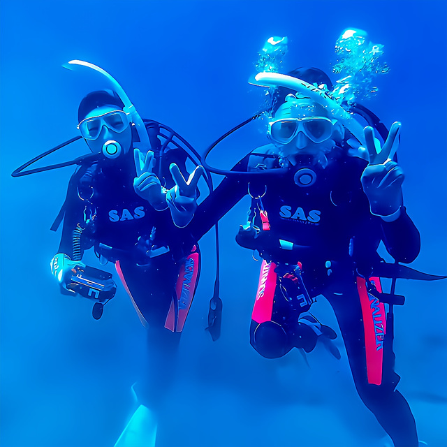 2025年12月20日｜冬の沖ノ島でゆったりファンダイブ開催レポート