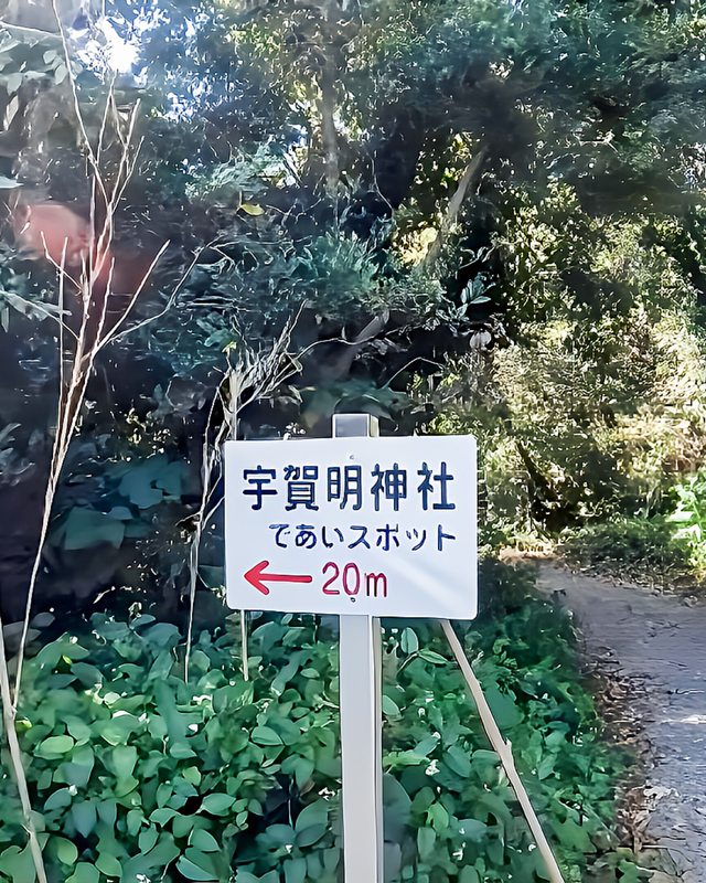 千葉県館山市・沖ノ島の宇賀明神｜女子旅で訪れたい“静かに心が整う”島内パワースポット