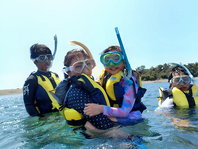 家族・女子旅・グループで楽しむ沖ノ島ダイビング｜初心者も安心の理由を解説｜マリンスノー