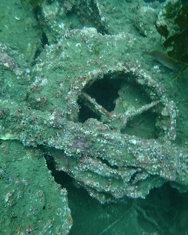 【2025年秋最新版】千葉県館山市・沖ノ島の沈船（水雷艇）は日露戦争の遺産｜歴史が眠る水中遺跡でファンダイブを楽しむ