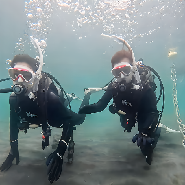 体験ダイビングで初めて海の中へ。インストラクターと一緒にゆっくり潜ることで、呼吸や水中環境に慣れていく最初の一歩。