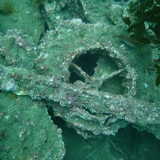 沖ノ島沈船（水雷艇）｜歴史と魚影が融合する迫力ポイント