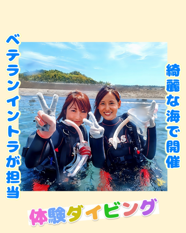 千葉県館山市の沖ノ島で体験ダイビング！初心者でも安心・思い出に残る海の冒険を楽しもう
