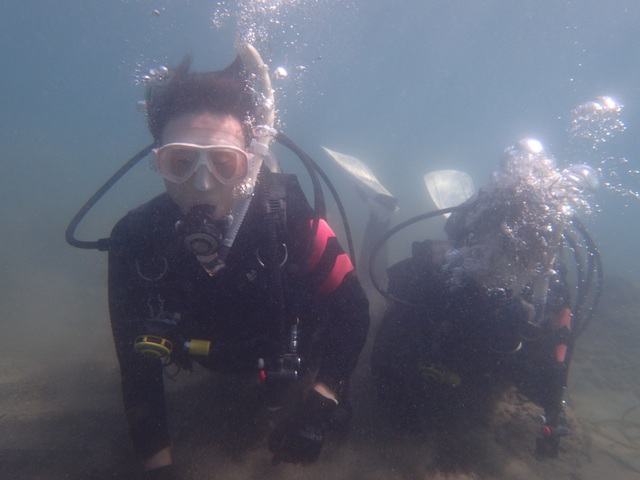 千葉県館山市の沖ノ島海水浴場で体験ダイビングを開催いたしました。｜千葉県館山市の沖ノ島ダイビングサービスマリンスノー
