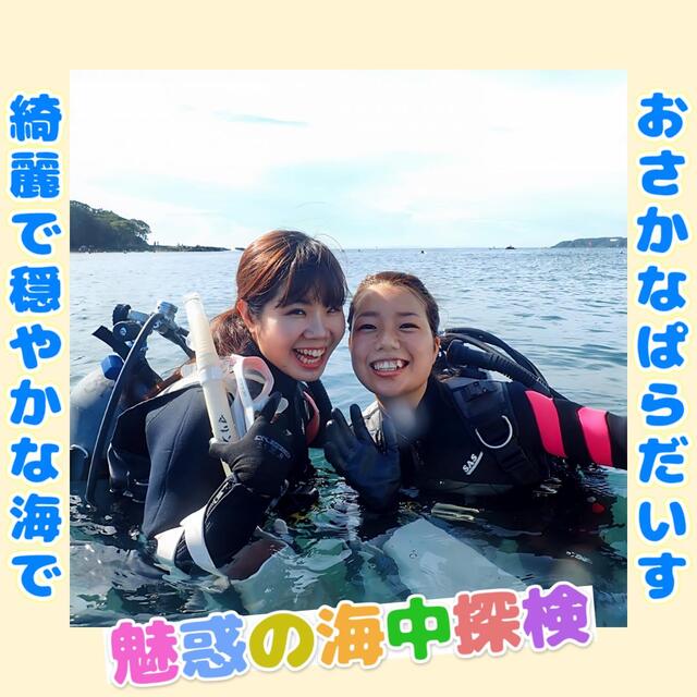 千葉県館山市沖ノ島で初心者も安心！女子旅や友達同士におすすめのダイビング体験：沈船・黒根・ビーチエントリーで海の冒険を楽しもう