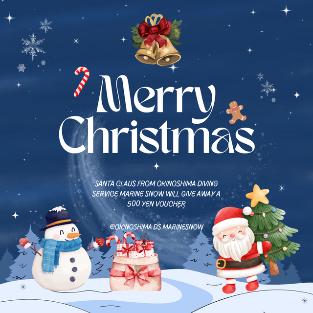 クリスマスのその先へ｜館山市・沖ノ島ダイビングで迎える静かな冬の一日