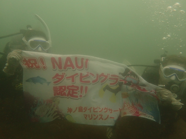 千葉県館山市の沖ノ島沖でオープンウォーター講習海洋実習最終日を開催いたしました。｜千葉県館山市の沖ノ島ダイビングサービスマリンスノー