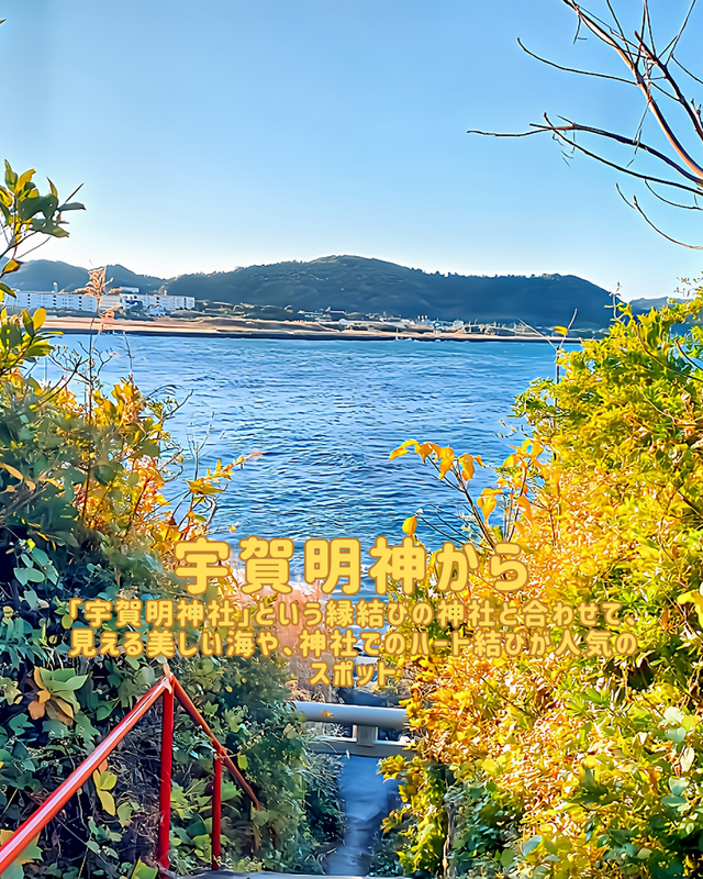 千葉県館山市・沖ノ島　 写真映えスポット特集 ― 自然そのものが被写体になる島 ―