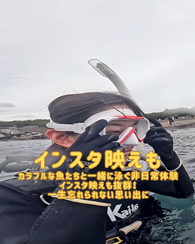 秋の海を満喫！千葉県館山市・沖ノ島で楽しむ初心者向け体験ダイビングの魅力とおすすめ情報