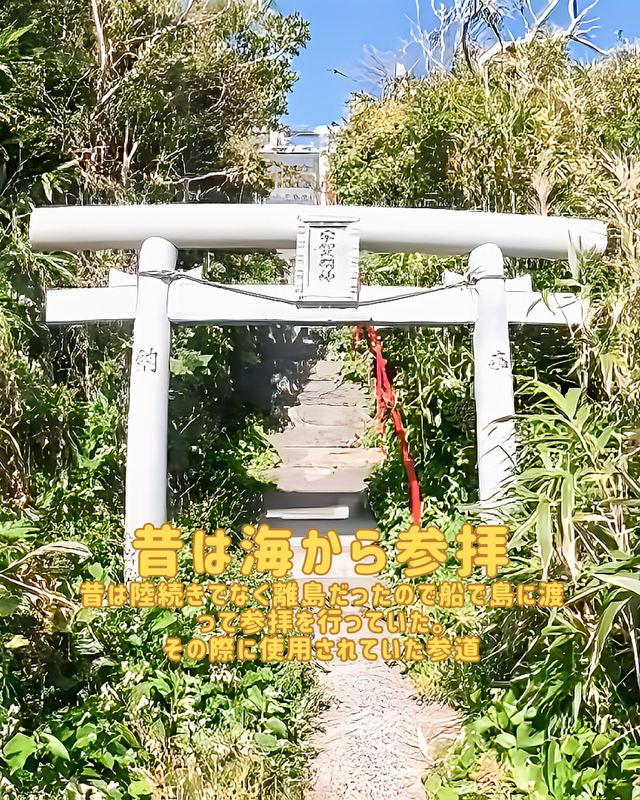 千葉県館山市・沖ノ島の宇賀明神とは 　― 島の奥にひっそり佇む、知る人ぞ知る神聖な観光スポット ―