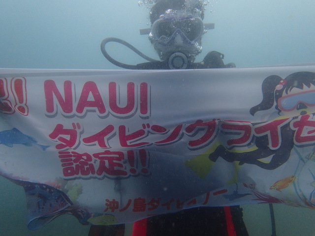 千葉県館山市の沖ノ島でライセンス取得【NAUIオープンウォーター講習】｜千葉県館山市の沖ノ島ダイビングサービスマリンスノー