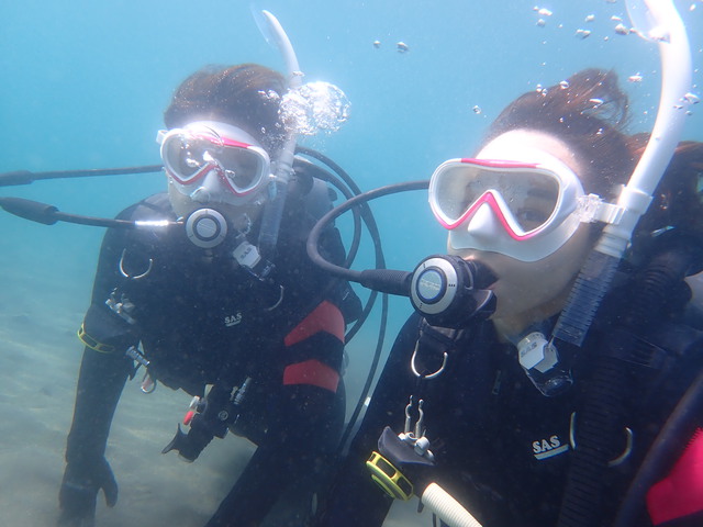 沖ノ島ビーチで体験ダイビング｜千葉県館山市の沖ノ島ダイビングサービスマリンスノー