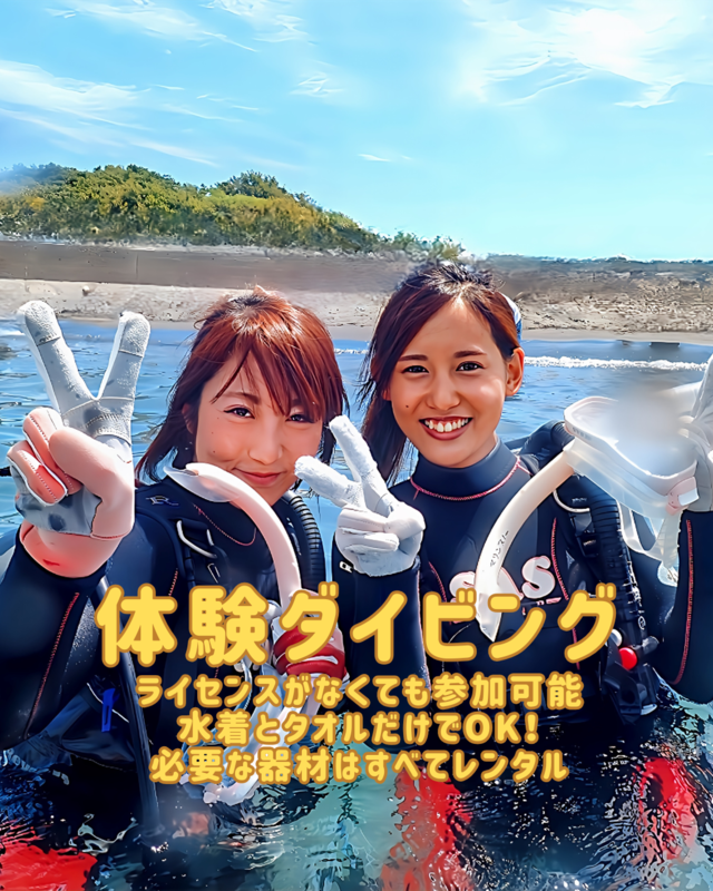 秋の海を満喫！千葉県館山市・沖ノ島で楽しむ初心者向け体験ダイビングの魅力とおすすめ情報