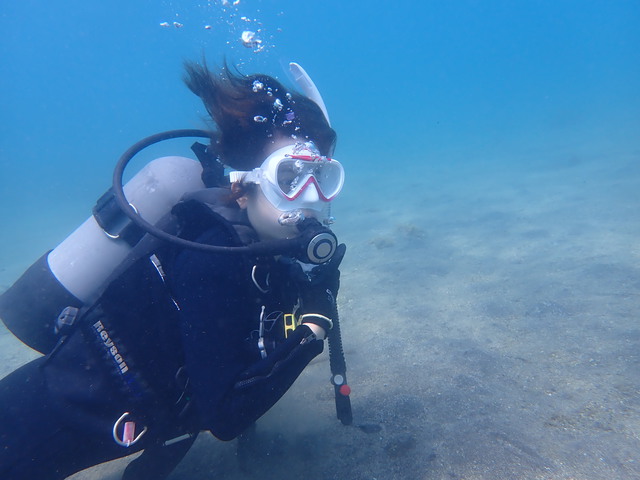 沖ノ島ビーチで体験ダイビング｜千葉県館山市の沖ノ島ダイビングサービスマリンスノー