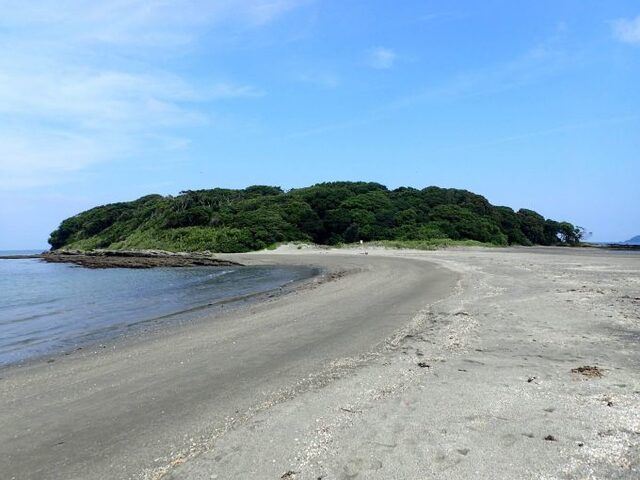 千葉県館山市にある沖ノ島の海。 都心から約2時間とは思えない静けさと自然が残り、四季を通して表情を変えるこの海は、10年以上潜り続けてもなお新しい発見があるダイビングフィールドです。 「近いからこそ、何度も通える」──沖ノ島の魅力は、この距離感と奥行きにあります。