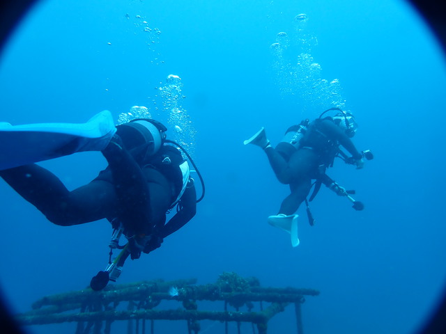 沖ノ島で2ボート（沈船・黒根）＆ナイトダイビング｜千葉県館山市の沖ノ島ダイビングサービスマリンスノー