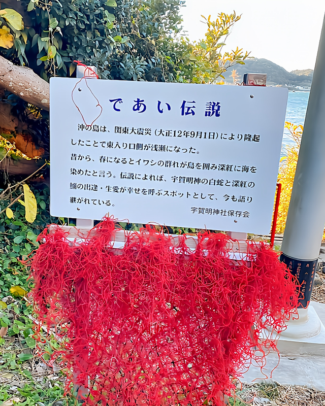 千葉県館山市・沖ノ島の宇賀明神|女子旅で訪れたい“静かに心が整う”島内パワースポット