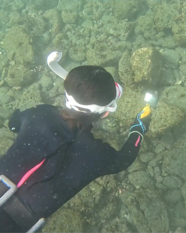 千葉県館山市の沖ノ島海水浴場でスキンダイビング体験｜素潜りで心に残る夏の思い出を作ろう