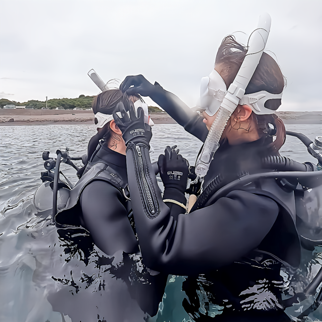 館山ダイビングは初心者でも大丈夫？ 不安を解消する完全ガイド【千葉・館山】