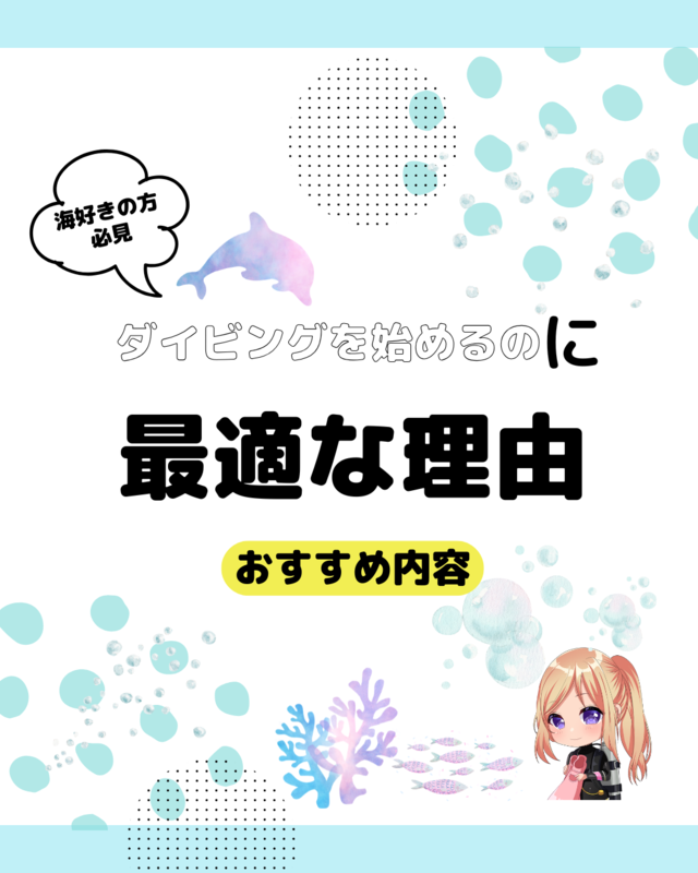 秋はダイビングライセンス取得に最適！千葉県館山市沖ノ島で始める初心者向け講習とおすすめ理由