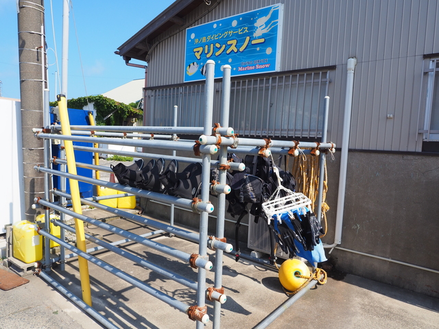 土曜日に使った器材が昨日は天気が悪かったり強風で干せなかった器材をやっと今日の朝から干せます｜千葉県館山市の沖ノ島ダイビングサービスマリンスノー