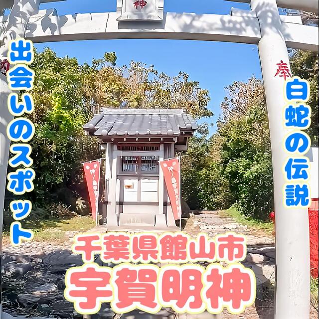 千葉県館山市にある沖ノ島島内にある宇賀明神｜千葉県館山市の沖ノ島ダイビングサービスマリンスノー
