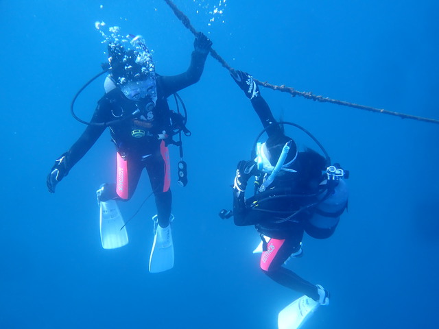 2021/10/30に千葉県館山市の沖ノ島で女性5名のファンダイブを行いました