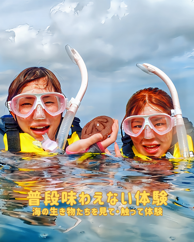 千葉県館山市・沖ノ島で夏休みに体験する女子旅の思い出づくりに最適なアクティビティ特集