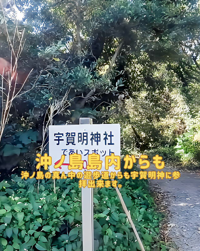 千葉県館山市・沖ノ島の宇賀明神とは 　― 島の奥にひっそり佇む、知る人ぞ知る神聖な観光スポット ―