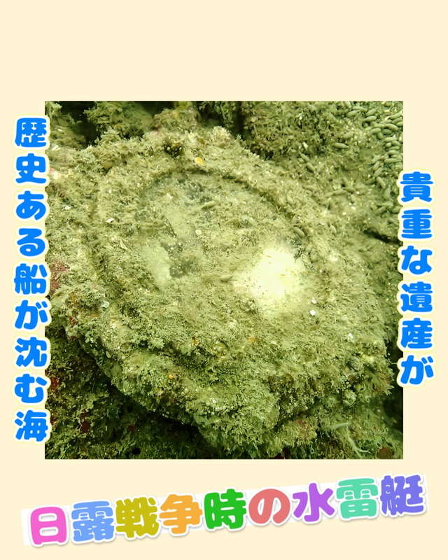 【2025年秋最新版】千葉県館山市・沖ノ島の沈船（水雷艇）は日露戦争の遺産｜歴史が眠る水中遺跡でファンダイブを楽しむ