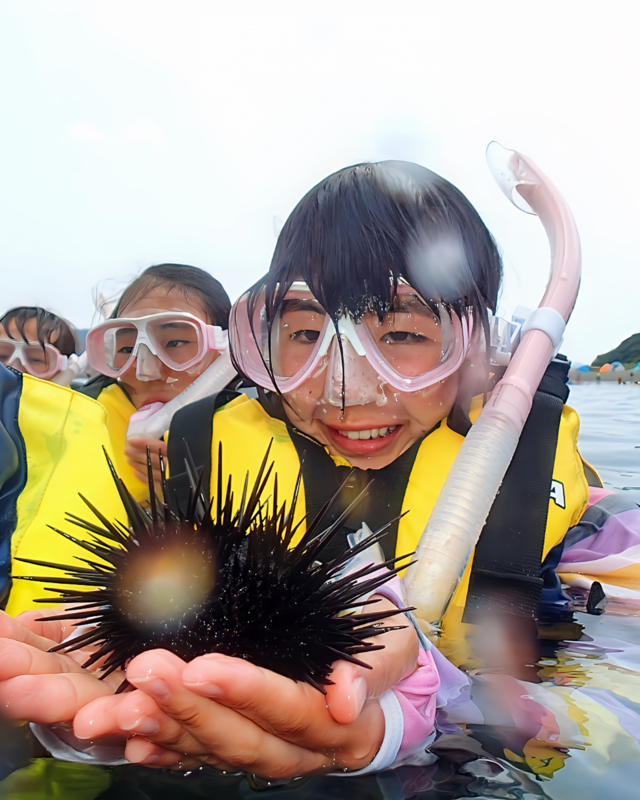  夏休みの思い出づくりに最適！千葉県館山市の沖ノ島海水浴場で安心・感動のシュノーケリング体験