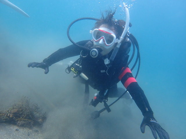 沖ノ島ビーチで体験ダイビング｜千葉県館山市の沖ノ島ダイビングサービスマリンスノー