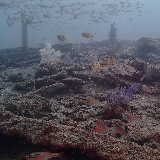 沖ノ島沈船｜部品・構造からスケール感を楽しむ