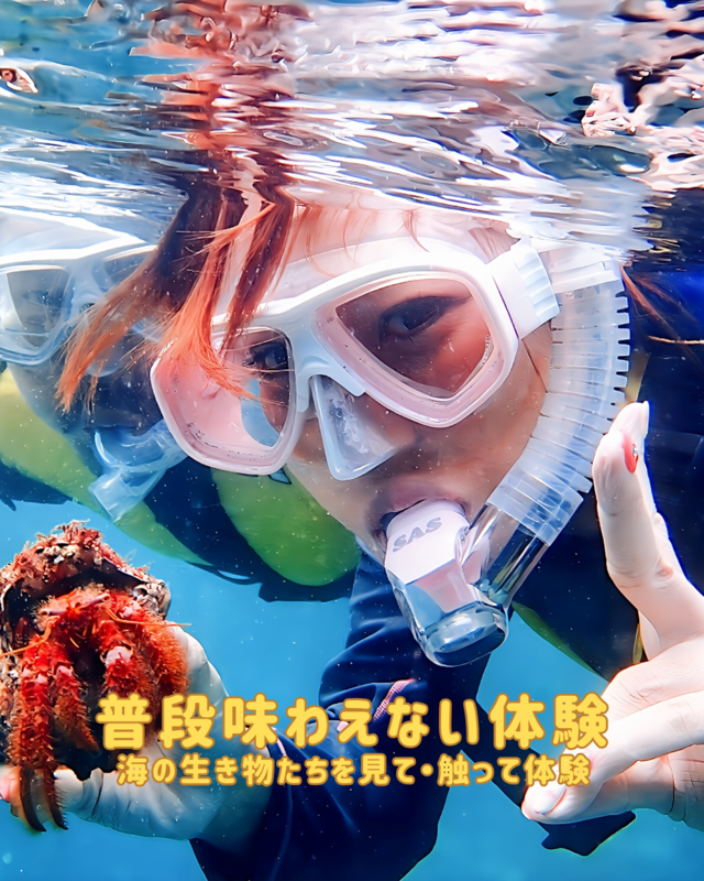 夏休みの思い出づくりに最適！千葉県館山市・沖ノ島で楽しむ感動のシュノーケリング体験