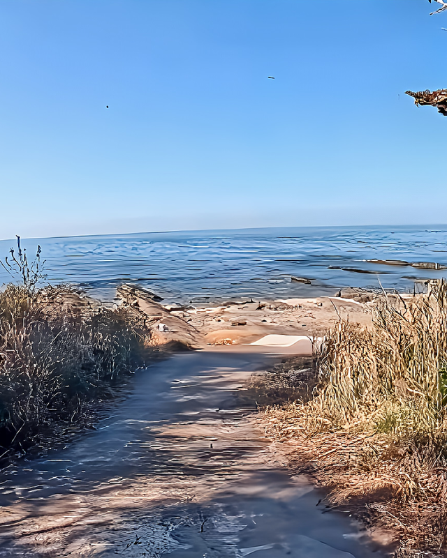 【女子旅特化】歩いて渡れる小さな楽園・沖ノ島|千葉県館山市の絶景と癒しをめぐる島旅ガイド
