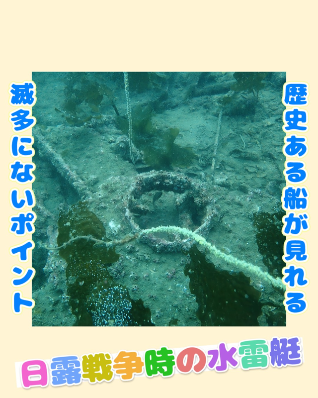 【冬〜春の沖ノ島ダイビング】透明度・魚影・マクロが最高潮に！館山の海が一年で最も美しくなる季節｜沖ノ島ダイビングサービスマリンスノー