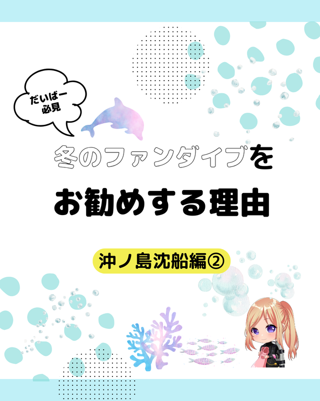 【冬の沖ノ島沈船は“マクロ天国”】ガラスハゼ・ニシキフウライウオ・甲殻類・ウミウシが最高潮｜沖ノ島ダイビングサービスマリンスノー【沈船編②】