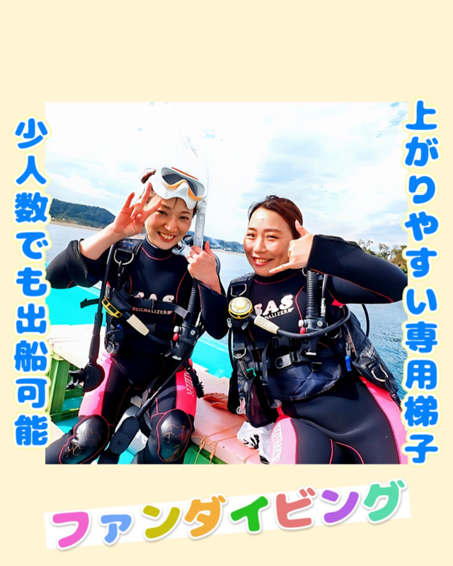 秋のベストシーズンに千葉県館山市の沖ノ島で楽しむファンダイビング｜透明度抜群の海と多彩な生物が魅力のダイビングスポット