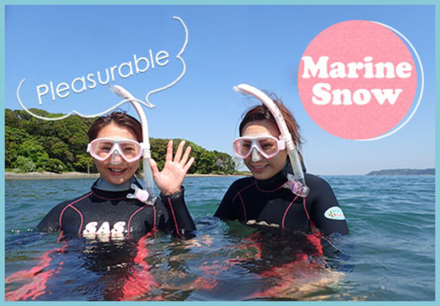 体験ダイビング完全ガイド｜初心者でも安心な沖ノ島体験ダイビング｜マリンスノー