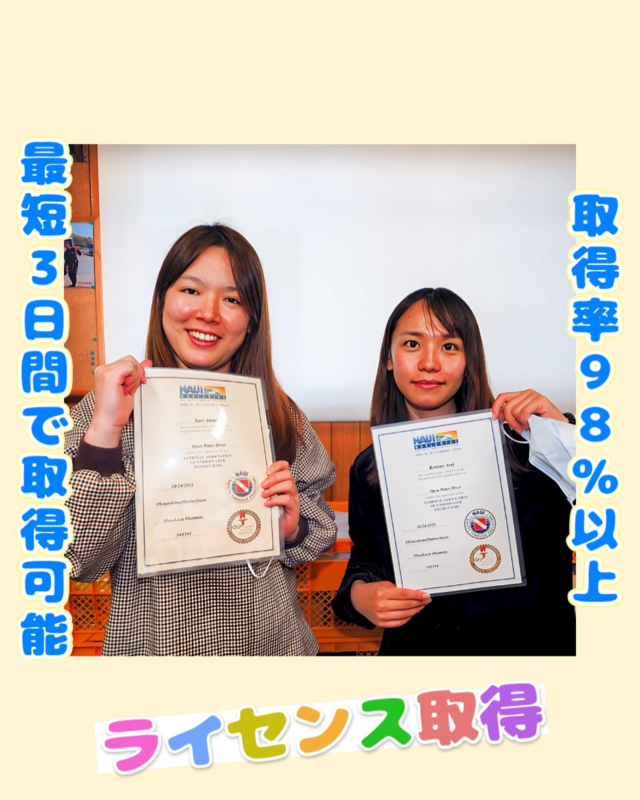秋のベストシーズン！千葉県館山市・沖ノ島で安心のダイビングライセンス取得｜初心者歓迎の海体験