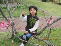令和6年1月26日八重島公園へ桜をみにいこう