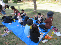 令和3年12月28日　県民の森　渓流散策