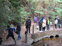 令和3年12月28日　県民の森　渓流散策